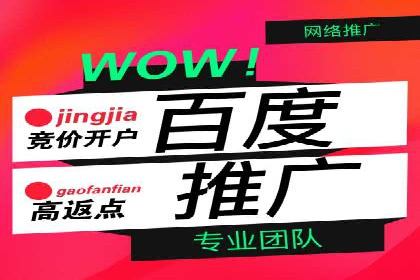 SEO与SEM案例分析：提升网站排名策略